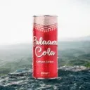 Keffiyeh-Edition-Can-on-Mountain-Mockup-150x150.webp