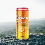Salaam-Lebonorange-Can-on-Mountain-Mockup-150x150.webp